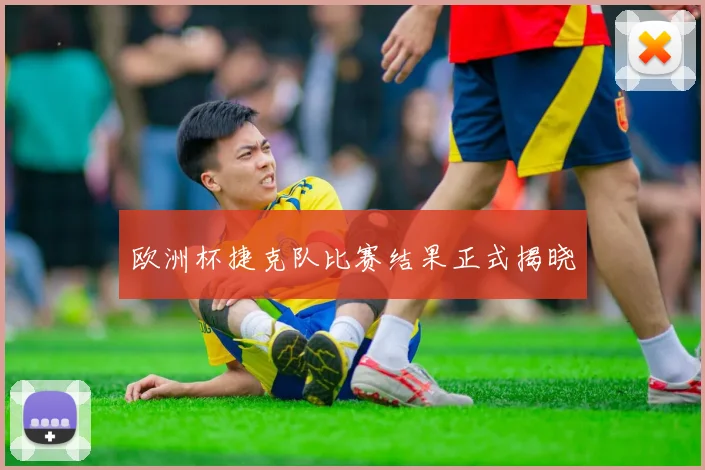 欧洲杯捷克队比赛结果正式揭晓