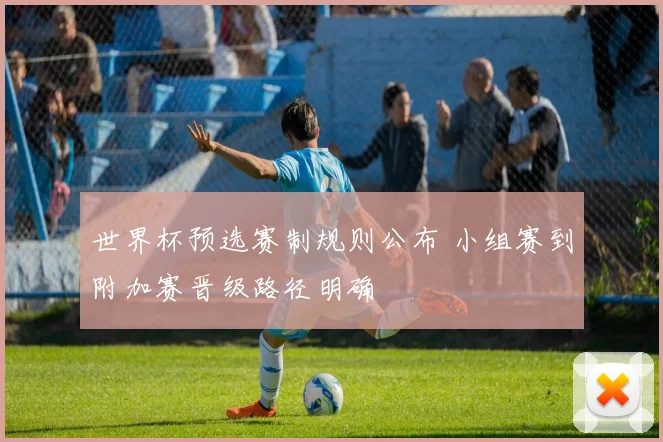 世界杯预选赛制规则公布 小组赛到附加赛晋级路径明确