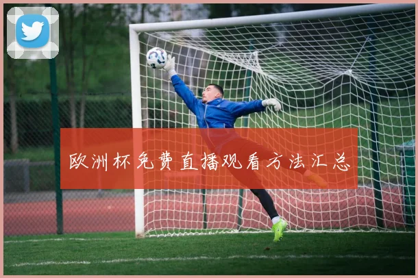 欧洲杯免费直播观看方法汇总