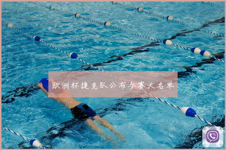 欧洲杯捷克队公布参赛大名单